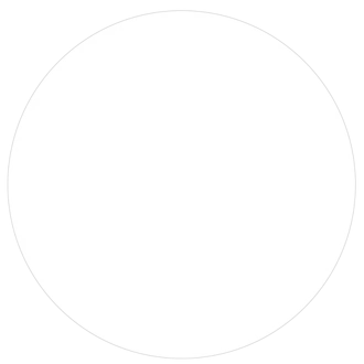 A white circle with a gray outline on a white background.